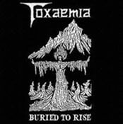 TOXAEMIA - Buried To Rise: 1990 - 1991 Discography