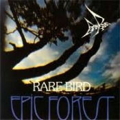 RARE BIRD - Epic Forest