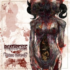 AGATHOCLES / RESTOS HUMANOS - Restos Agathos