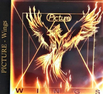 PICTURE - Wings