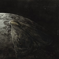 AUGRIMMER - Moth And The Moon