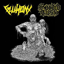 GLUTTONY / SORDID FLESH - Split 2016
