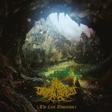 DRUADAN FOREST - The Lost Dimension