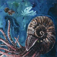 CELOPHYS - Ammonite