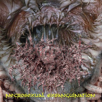 GUTTURAL MAGGOT - Necrosexual Exsanguination