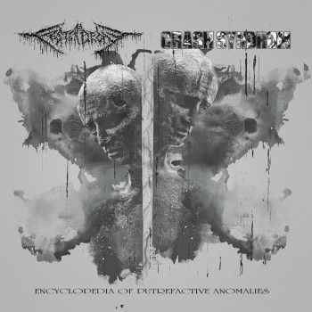 FESTERDECAY / CRASH SYNDROM - Encyclopedia Of Putrefactive Anomalies