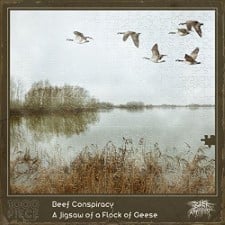 BEEF CONSPIRACY - Jigsaw Of A Flock Of Geese