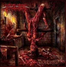 BOWEL STEW - Debridement