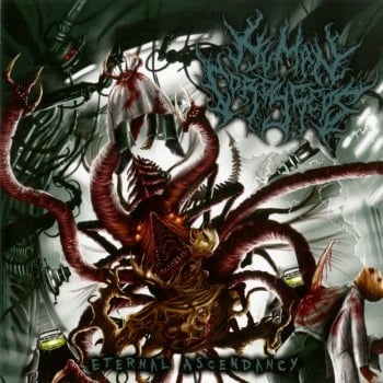 HUMAN CORDYCEPS - Eternal Ascendancy