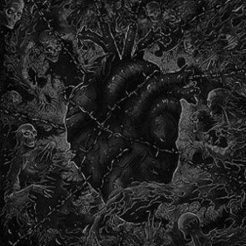 HORNA / PURE - Split