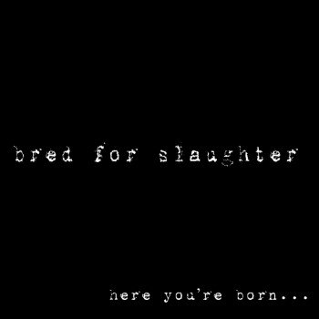 BRED FOR SLAUGHTER - Here You'Re Born... Here You Die
