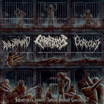 ANAL STABWOUND / CARNIFLOOR / GORECUNT - Subjected To Insanity