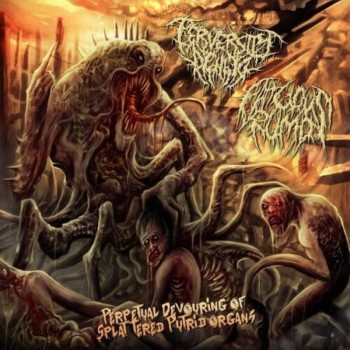 PERVERSITY DENIED / FATUOUS RUMP - Split