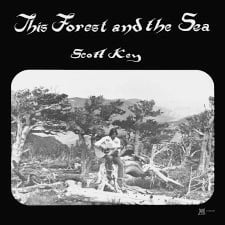 SCOTT KEY - This Forest And The Sea
