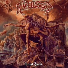AVULSED - Ritual Zombi (Xtreem Music)