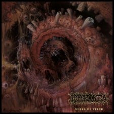 HYPERDONTIA - Nexus Of Teeth