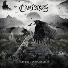 CARPATUS - Malus Ascendant