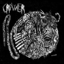 CRAWLER - Womb