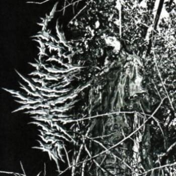 JENOVAVIRUS - Demo I