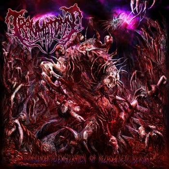 TRAUMATOMY - Transcendental Evisceration...