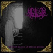 ABHOR - Ab Luna Lucenti, Ab Noctua Protecti