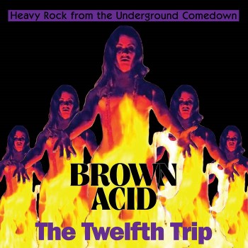 BROWN ACID - The Twelfth Trip