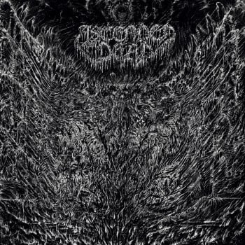 ASCENDED DEAD - Evenfall Of The Apocalypse