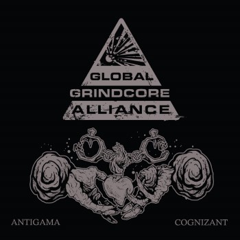 ANTIGAMA / COGNIZANT - Split