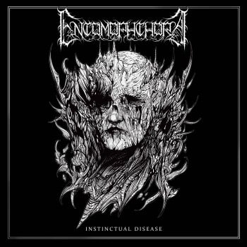 ENTOMOPHTHORA - Instinctual Disease