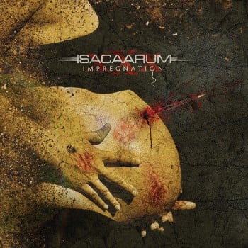 ISACAARUM - Impregnation