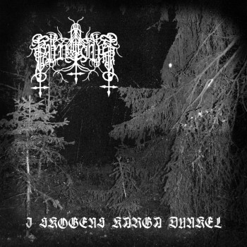 MUVITIUM - I Skogens Karga Dunkel