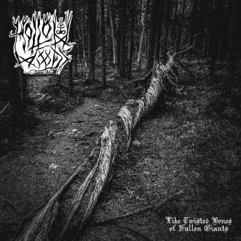 HOLLOW WOODS - Like Twisted Bones Of Fallen Giants