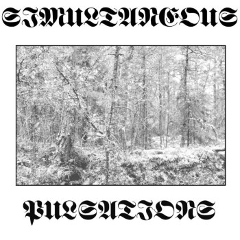 BLACKLINE - Simultaneous Pulsations