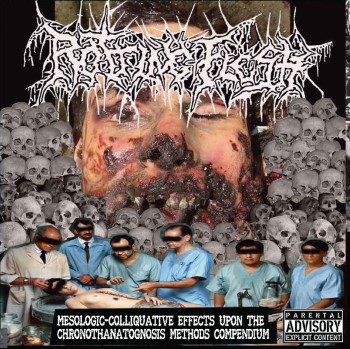 ROTTING FLESH - Mesologic Colliquative Effects Upon..