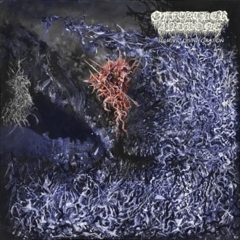OF FEATHER AND BONE - Sulfuric Disintegration