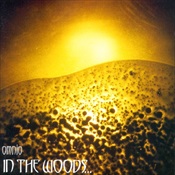 IN THE WOODS - Omnio