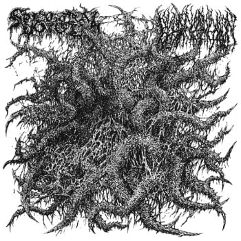 SPECTRAL VOICE / BLOOD INCANTATION - Split