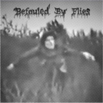 BEFOULED BY FLIES - Befouled By Flies
