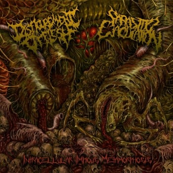 DISFIGUREMENT OF FLESH / PARASITIC EJACULATION - Intracellular Impious Metamorphosis