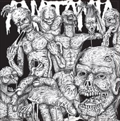 ANATOMIA / LIVING DECAY - Split