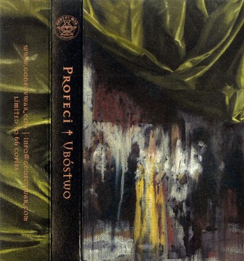 PROFECI - Ubostwo