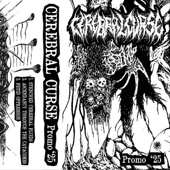CEREBRAL CURSE - Promo '25