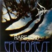 RARE BIRD - Epic Forest