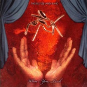 THE BILLYLEE JANEY BAND - What'S Your Trick