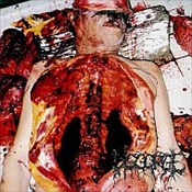DISGORGE - Chronic Corpora Infest