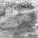 FLESHPRESS - Fleshpress