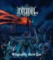 INFERNAL - Whipping The Sacred Law