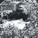 DEATHSWARM - Shadowlands Of Darkness