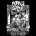 MORBUS GRAVE - Awakening Of The Dead / Throne Of Disgust