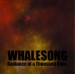 WHALESONG - Radiance Of A Thousand Suns
